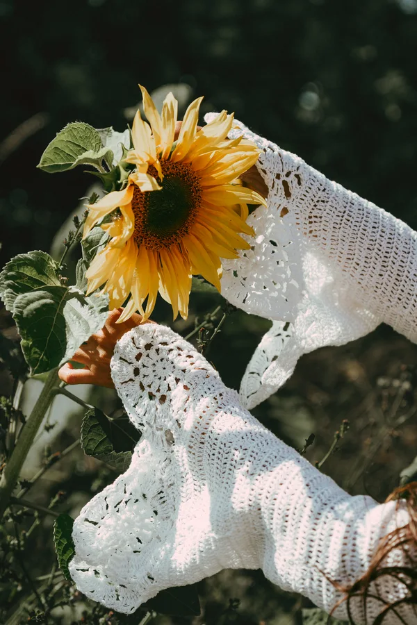 Hands in crochet sleeves hold a sunflower in sunlight.