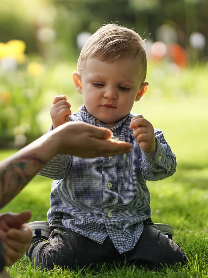 A young child explores a plant while seated on sunlit grass.